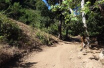 Save Hot Springs Trail