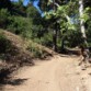 Save Hot Springs Trail