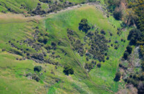 Coastal Trail Along the Gaviota Bluff