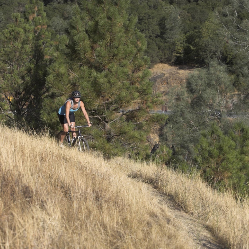 Best Bike Shop in Santa Barbara, Fastrack Bicycles