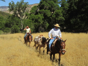 Los Padres Trail Riders