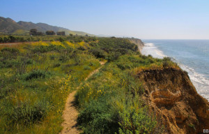 Gaviota Coast